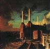 Animals, February 1977